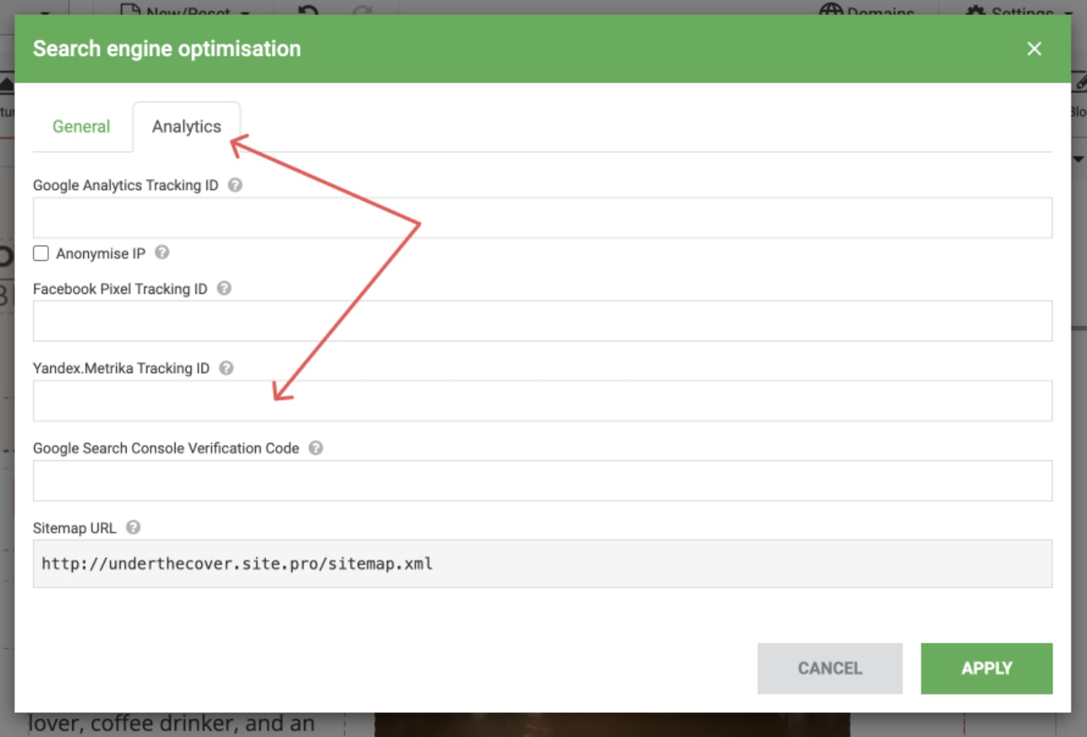 Connecting Yandex Metrika to your website