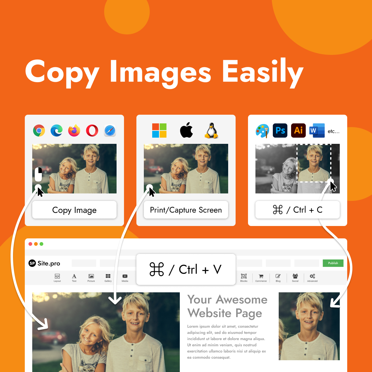 How to Copy and Paste Elements in the Website Builder? - Site.pro